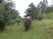 Prodej pozemku, Skuteč, 881 m2