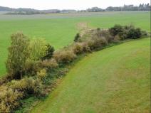 Prodej pozemku, Kostelec nad Černými lesy, 12366 m2