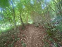 Prodej pozemku, Mladkov, 1004 m2