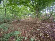 Prodej pozemku, Helvíkovice, 1994 m2