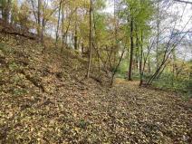 Prodej pozemku, Svijany, 4905 m2