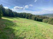 Prodej pozemku, Sobotín, 10593 m2