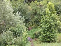 Prodej pozemku, Liberk, 2268 m2