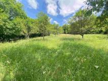 Prodej pozemku, Nedašova Lhota, 2790 m2