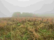 Prodej pole, Verneřice, 22839 m2