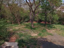 Pronájem zahrady, Horní Beřkovice, 550 m2