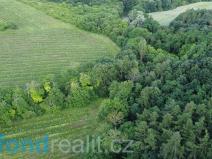 Prodej pozemku, Újezdec, 4351 m2