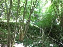 Prodej pozemku, Přídolí - Všeměry, 3581 m2