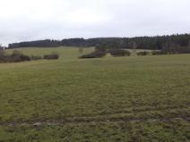 Prodej komerčního pozemku, Srby, 2298 m2