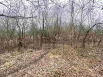 Prodej pozemku, Třebenice - Medvědice, 4154 m2