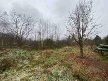 Prodej pozemku, Zliv, 311 m2