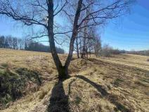 Prodej pole, Rozvadov - Svatá Kateřina, 60693 m2