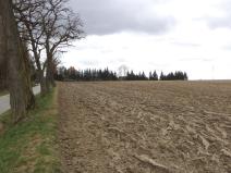 Prodej komerčního pozemku, Cehnice, 9229 m2