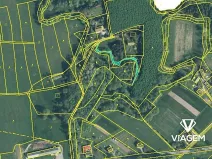 Prodej lesa, Petrovice u Karviné, 566 m2