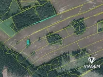 Prodej lesa, Věchnov, 415 m2