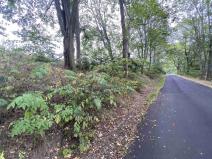 Prodej pole, Dolní Nivy, 1197 m2