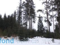 Prodej pozemku, Nová Bystřice - Blato, 19660 m2