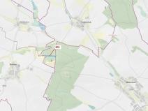 Dražba lesa, Loukovice, 7796 m2