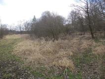 Prodej pozemku, Novosedly nad Nežárkou, 6591 m2