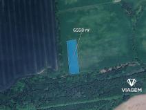 Prodej podílu pole, Veselíčko, 546 m2