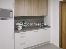 Pronájem kanceláře, Brno, 20 m2