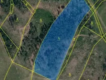 Prodej lesa, Číchov, 7090 m2