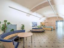 Pronájem kanceláře, Praha - Nové Město, Václavské náměstí, 550 m2