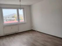 Pronájem bytu 1+1, Karlovy Vary, Celní, 43 m2