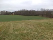 Dražba louky, Srby, 19946 m2