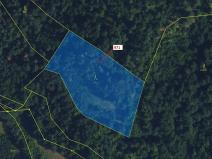 Dražba lesa, Lhota Rapotina, 4308 m2