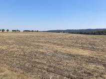 Prodej pozemku, Podbořany - Kněžice, 1801 m2