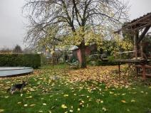 Prodej rodinného domu, Staré Město, 170 m2