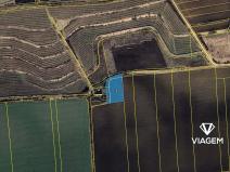 Prodej podílu pole, Cítov, 705 m2