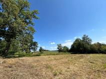 Prodej pozemku pro bydlení, Horní Planá, 3046 m2