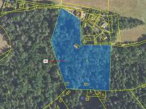 Dražba lesa, Sýkořice, 8962 m2