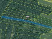 Dražba lesa, Jílovice, 13375 m2