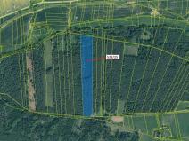 Dražba lesa, Stehlovice, 29451 m2