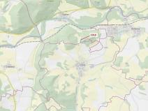 Dražba lesa, Rabí, 3054 m2