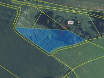 Dražba lesa, Trpík, 3972 m2