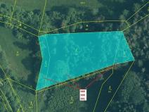 Dražba lesa, Rabí, 4276 m2