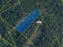 Dražba lesa, Jílové u Držkova, 4305 m2