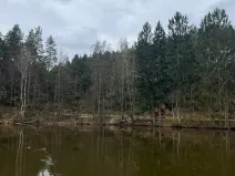 Prodej chalupy, Janovice v Podještědí, 150 m2