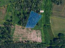 Dražba lesa, Mladoňovice, 1427 m2