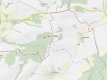 Dražba lesa, Milavče, 546 m2