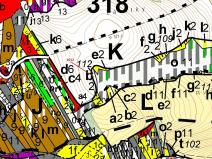 Dražba lesa, Spešov, 500 m2