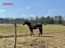 Prodej zemědělského objektu, Spálené Poříčí, 1300 m2