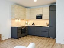 Pronájem bytu 2+kk, Brno - Brno-město, Spolková, 53 m2