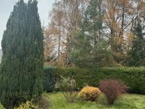 Pronájem zahrady, Postupice, 729 m2