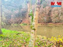 Prodej pozemku pro bydlení, Vlastějovice, 546 m2