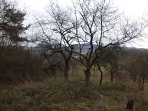 Prodej pozemku, Srby, 1445 m2